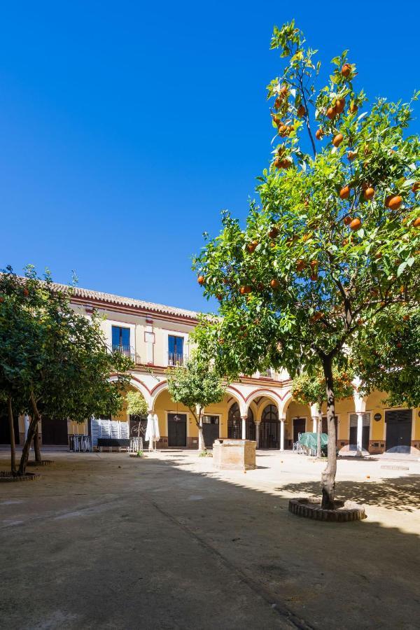 Apartamento Historico Garaje Y Wifi Sanlúcar de Barrameda Buitenkant foto